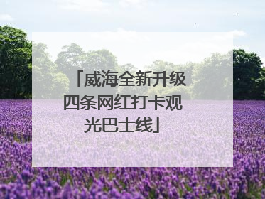 威海全新升级四条网红打卡观光巴士线