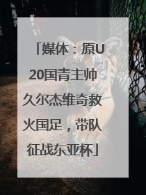 媒体：原U20国青主帅久尔杰维奇救火国足，带队征战东亚杯