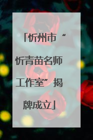 忻州市“忻青苗名师工作室”揭牌成立