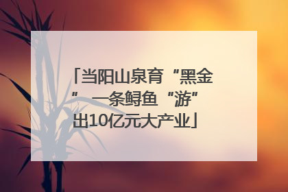 当阳山泉育“黑金” 一条鲟鱼“游”出10亿元大产业
