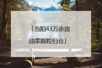 当阳43万余亩油菜颗粒归仓