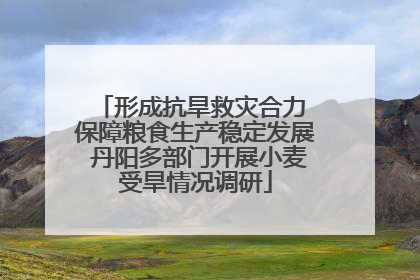 形成抗旱救灾合力 保障粮食生产稳定发展 丹阳多部门开展小麦受旱情况调研
