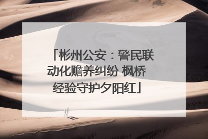 彬州公安：警民联动化赡养纠纷 枫桥经验守护夕阳红