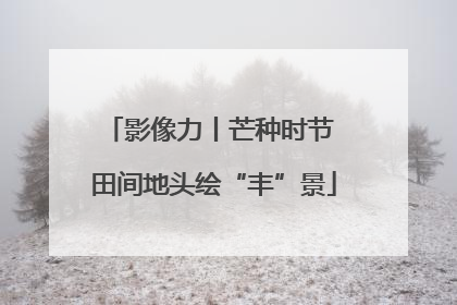 影像力丨芒种时节 田间地头绘“丰”景