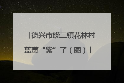 德兴市绕二镇花林村蓝莓“紫”了（图）