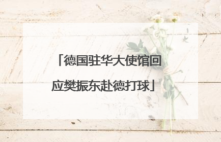 德国驻华大使馆回应樊振东赴德打球