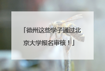 德州这些学子通过北京大学报名审核！