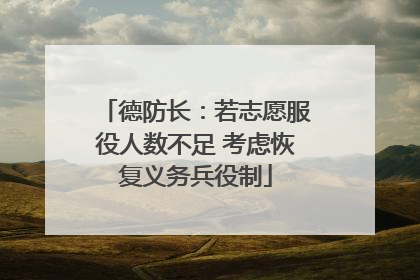 德防长：若志愿服役人数不足 考虑恢复义务兵役制