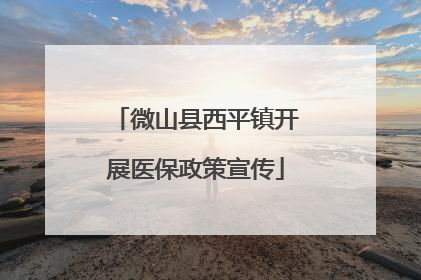 微山县西平镇开展医保政策宣传