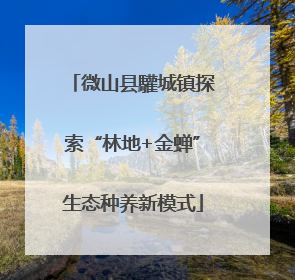 微山县驩城镇探索“林地+金蝉”生态种养新模式