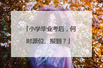 小学毕业考后，何时派位、报到？