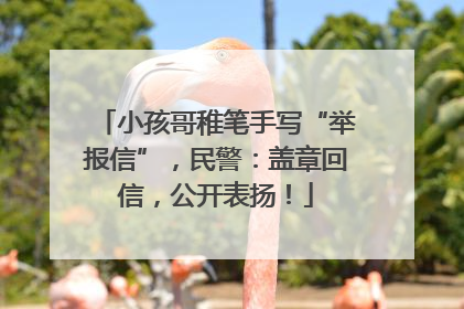 小孩哥稚笔手写“举报信”，民警：盖章回信，公开表扬！
