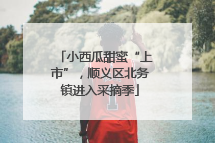 小西瓜甜蜜“上市”，顺义区北务镇进入采摘季