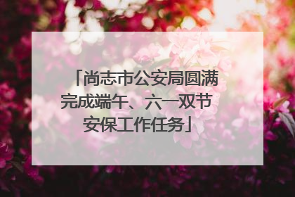 尚志市公安局圆满完成端午、六一双节安保工作任务
