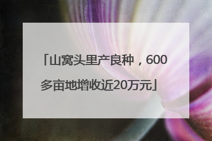 山窝头里产良种，600多亩地增收近20万元