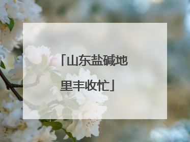 山东盐碱地里丰收忙