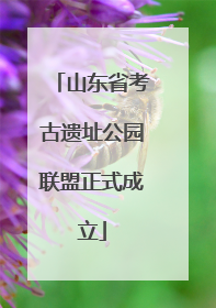 山东省考古遗址公园联盟正式成立