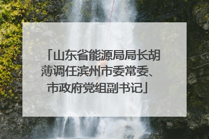 山东省能源局局长胡薄调任滨州市委常委、市政府党组副书记