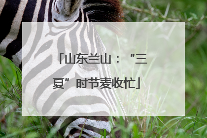 山东兰山：“三夏”时节麦收忙