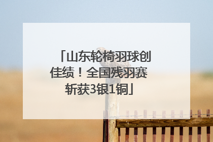 山东轮椅羽球创佳绩！全国残羽赛斩获3银1铜