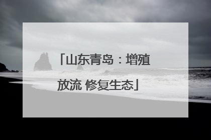 山东青岛：增殖放流 修复生态
