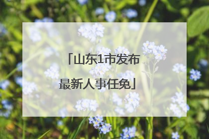 山东1市发布最新人事任免