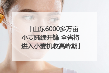 山东6000多万亩小麦陆续开镰 全省将进入小麦机收高峰期