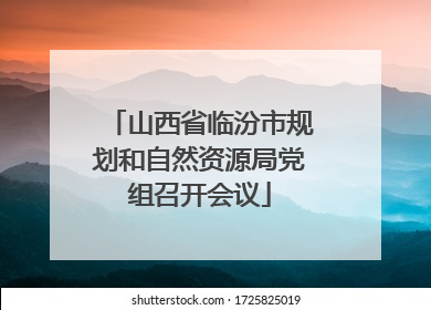 山西省临汾市规划和自然资源局党组召开会议