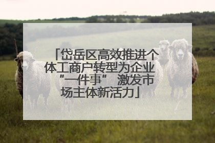 岱岳区高效推进个体工商户转型为企业“一件事” 激发市场主体新活力