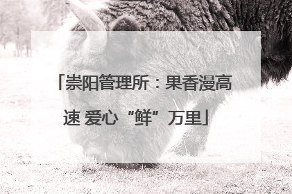 崇阳管理所：果香漫高速 爱心“鲜”万里