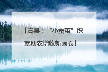 嵩县：“小蚕茧”织就助农增收新画卷