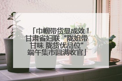 巾帼带货显成效！甘肃省妇联“陇姐带甘味 陇货优品位”端午集市圆满收官