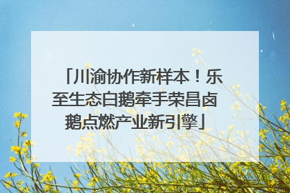 川渝协作新样本！乐至生态白鹅牵手荣昌卤鹅点燃产业新引擎