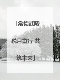 常德武陵：税月童行 共筑未来