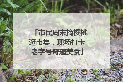 市民周末摘樱桃逛市集，现场打卡老字号奇趣美食