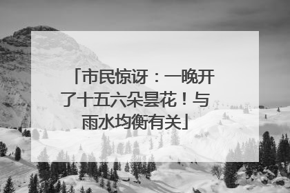 市民惊讶：一晚开了十五六朵昙花！与雨水均衡有关