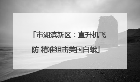 市湖滨新区：直升机飞防 精准狙击美国白蛾