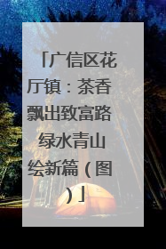 广信区花厅镇：茶香飘出致富路 绿水青山绘新篇（图）