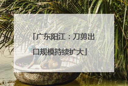 广东阳江：刀剪出口规模持续扩大
