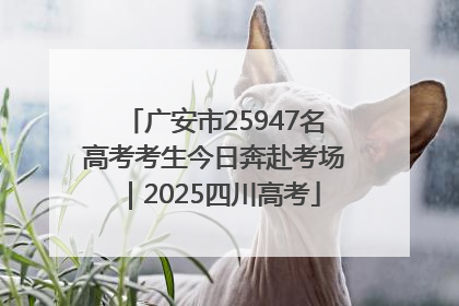 广安市25947名高考考生今日奔赴考场｜2025四川高考