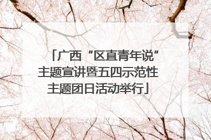 广西“区直青年说”主题宣讲暨五四示范性主题团日活动举行