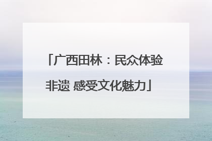 广西田林：民众体验非遗 感受文化魅力