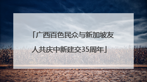 广西百色民众与新加坡友人共庆中新建交35周年