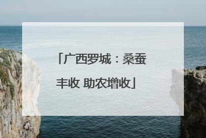 广西罗城：桑蚕丰收 助农增收