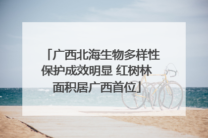 广西北海生物多样性保护成效明显 红树林面积居广西首位