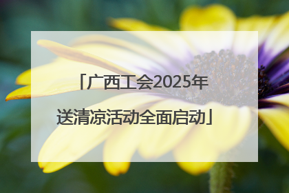 广西工会2025年送清凉活动全面启动