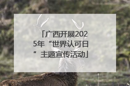 广西开展2025年“世界认可日”主题宣传活动