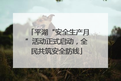 平湖“安全生产月”活动正式启动，全民共筑安全防线