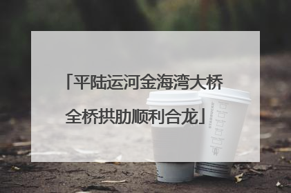 平陆运河金海湾大桥全桥拱肋顺利合龙