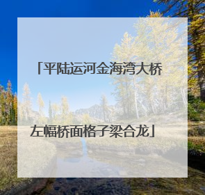平陆运河金海湾大桥左幅桥面格子梁合龙